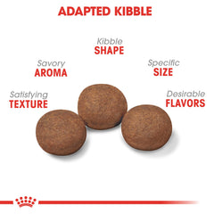 Royal Canin medium puppy crunchy kibble close-up showing texture