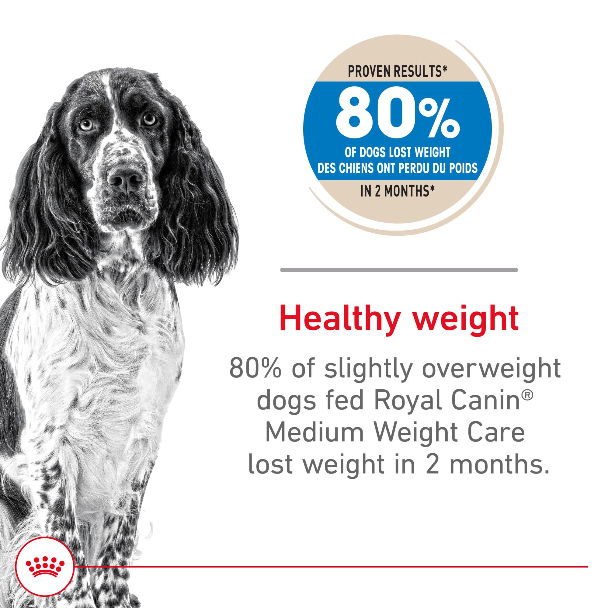 Royal Canin kibble close-up; texture ideal for medium breeds.