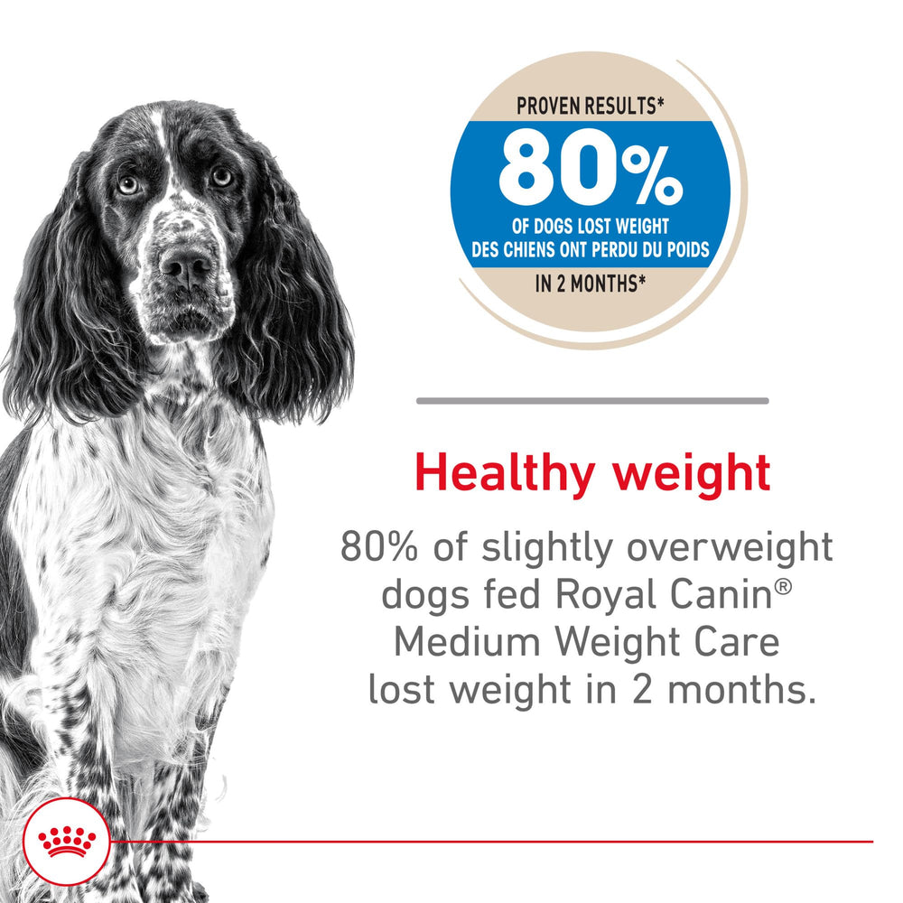Royal Canin kibble close-up; texture ideal for medium breeds.