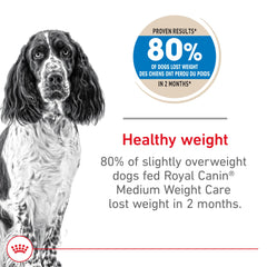 Royal Canin kibble close-up; tasty, portion-friendly nutrition for mid-size dogs.
