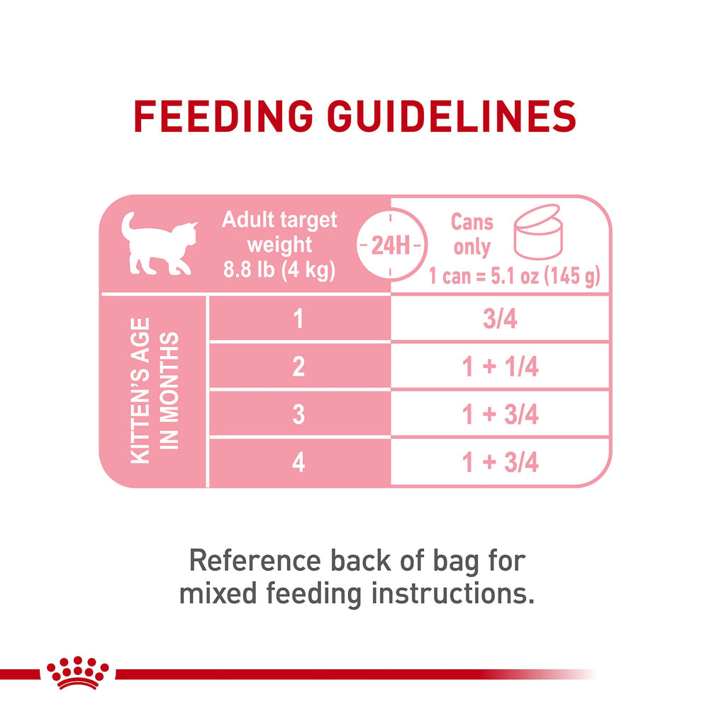 Milk-to-solid transition support for kittens with Royal Canin