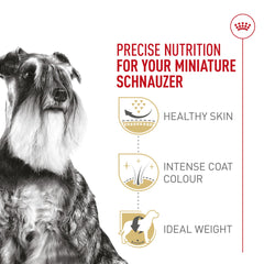 Royal Canin bowl with small-muzzle friendly kibble for Miniature Schnauzer