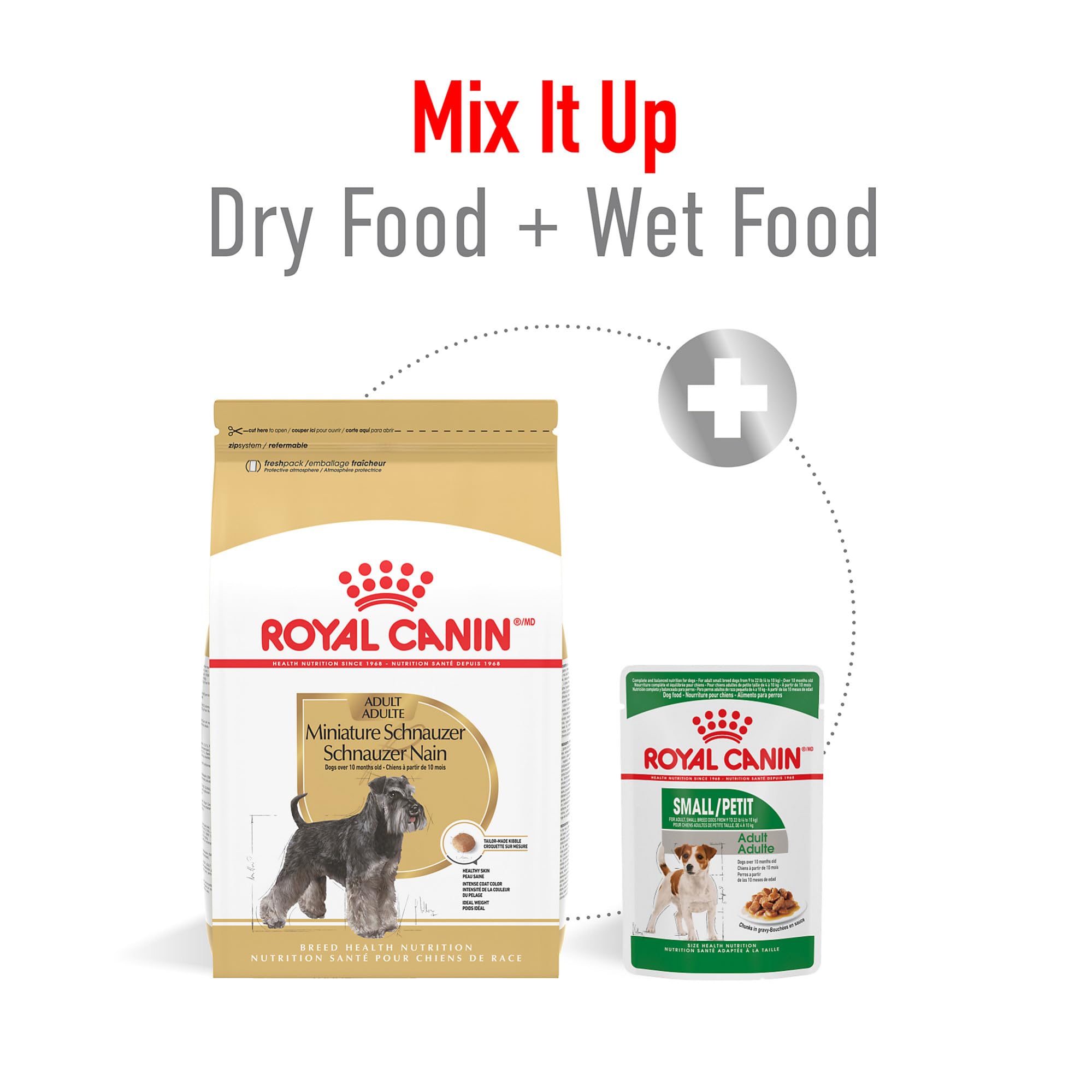 Royal Canin Miniature Schnauzer coat-detail emphasizing vibrant coat color