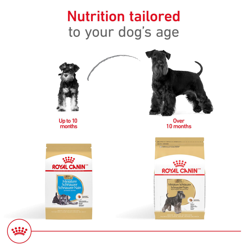 Royal Canin Miniature Schnauzer Puppy digestive-care ingredients promote comfortable digestion