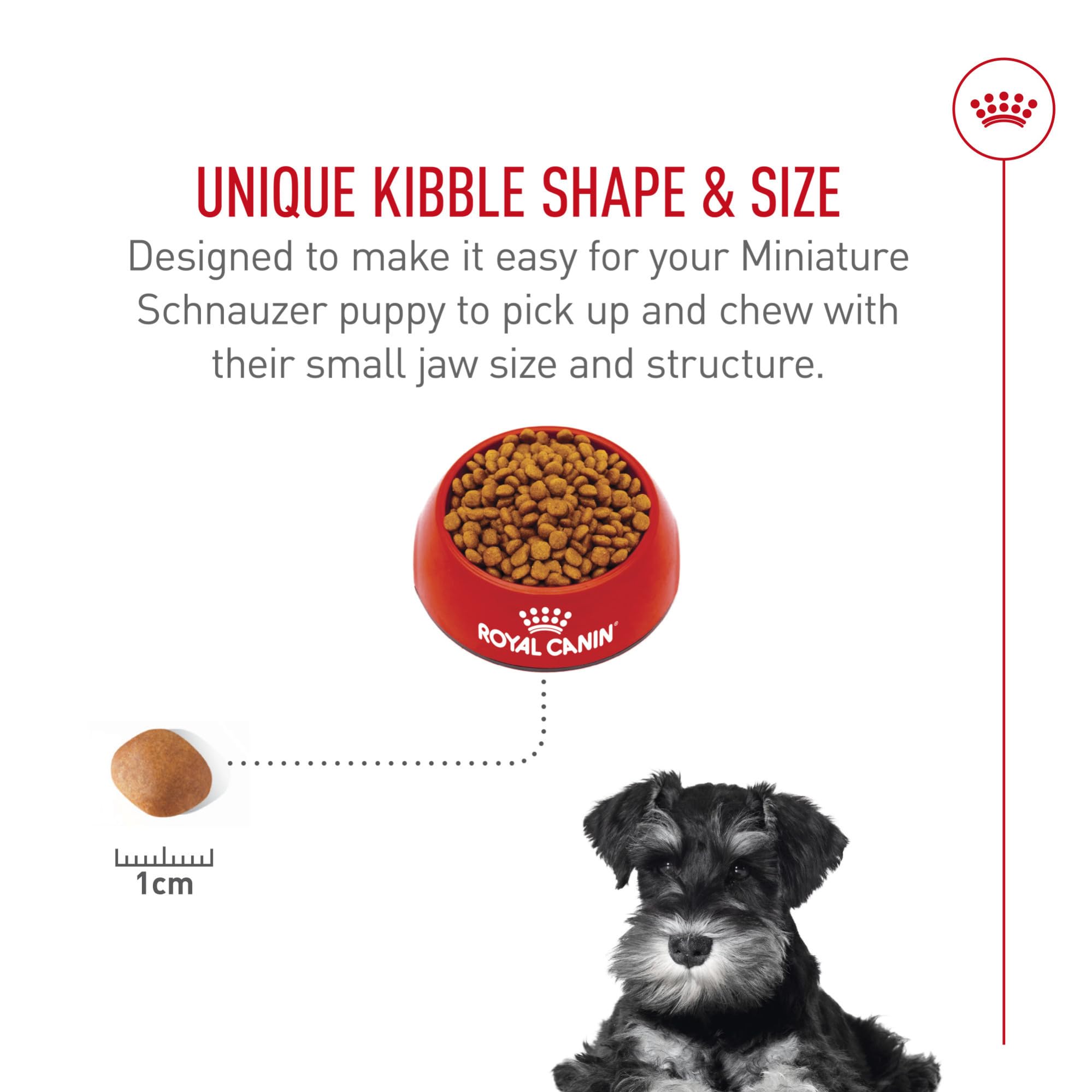 Royal Canin Puppy eating action demonstrates ease of consumption for small breeds