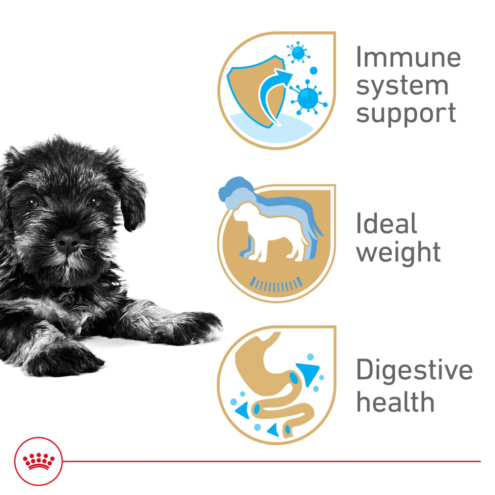 Royal Canin Miniature Schnauzer Puppy kibble texture shown for easy gripping