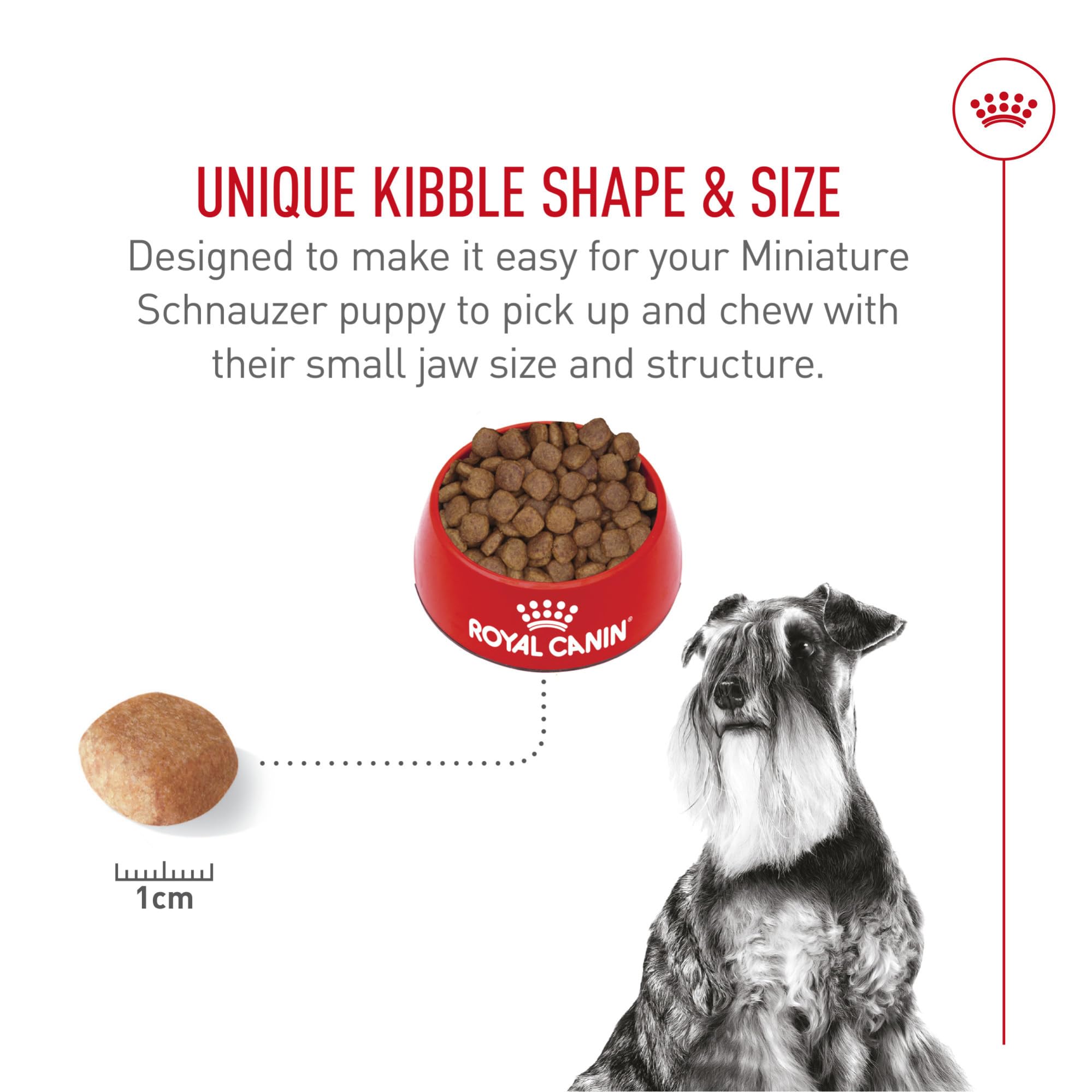 Royal Canin Miniature Schnauzer skin-detail highlighting essential nutrients for skin support