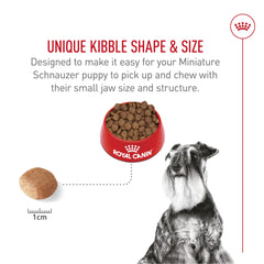 Royal Canin Miniature Schnauzer skin-detail highlighting essential nutrients for skin support