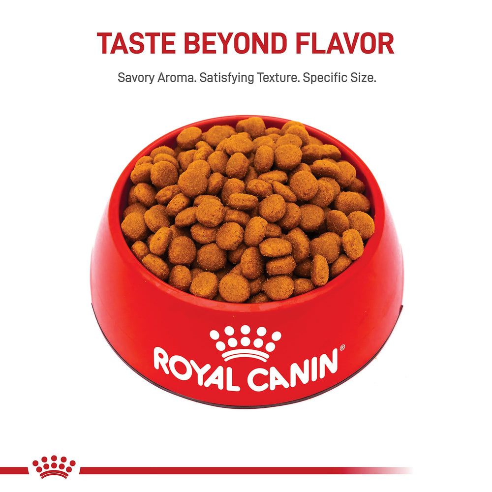 Royal Canin mixed feeding scenario with dry kibble beside wet food for palatability