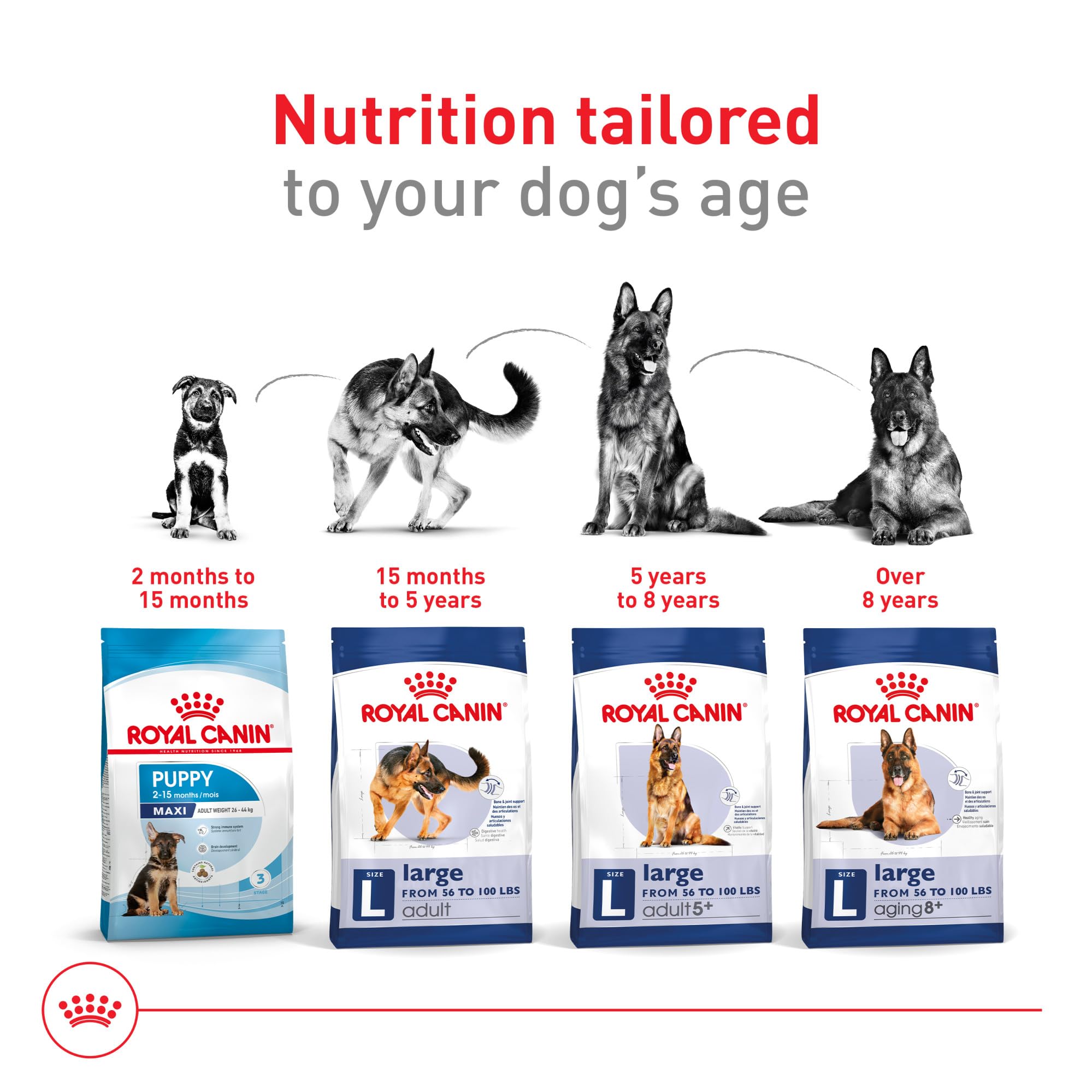 Royal Canin mixed feeding with wet dog food for added palatability.