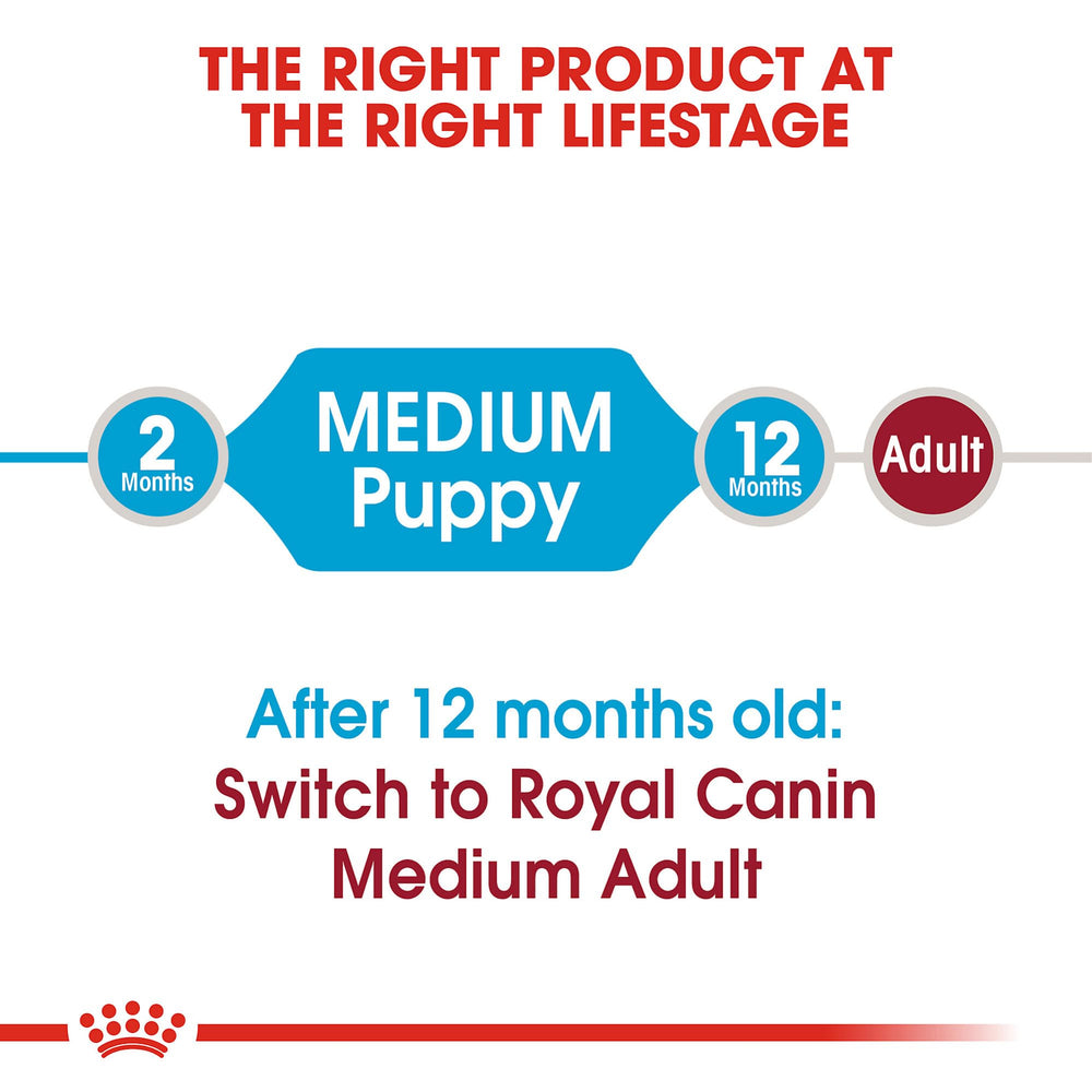 Royal Canin mixed feeding with wet puppy food close-up