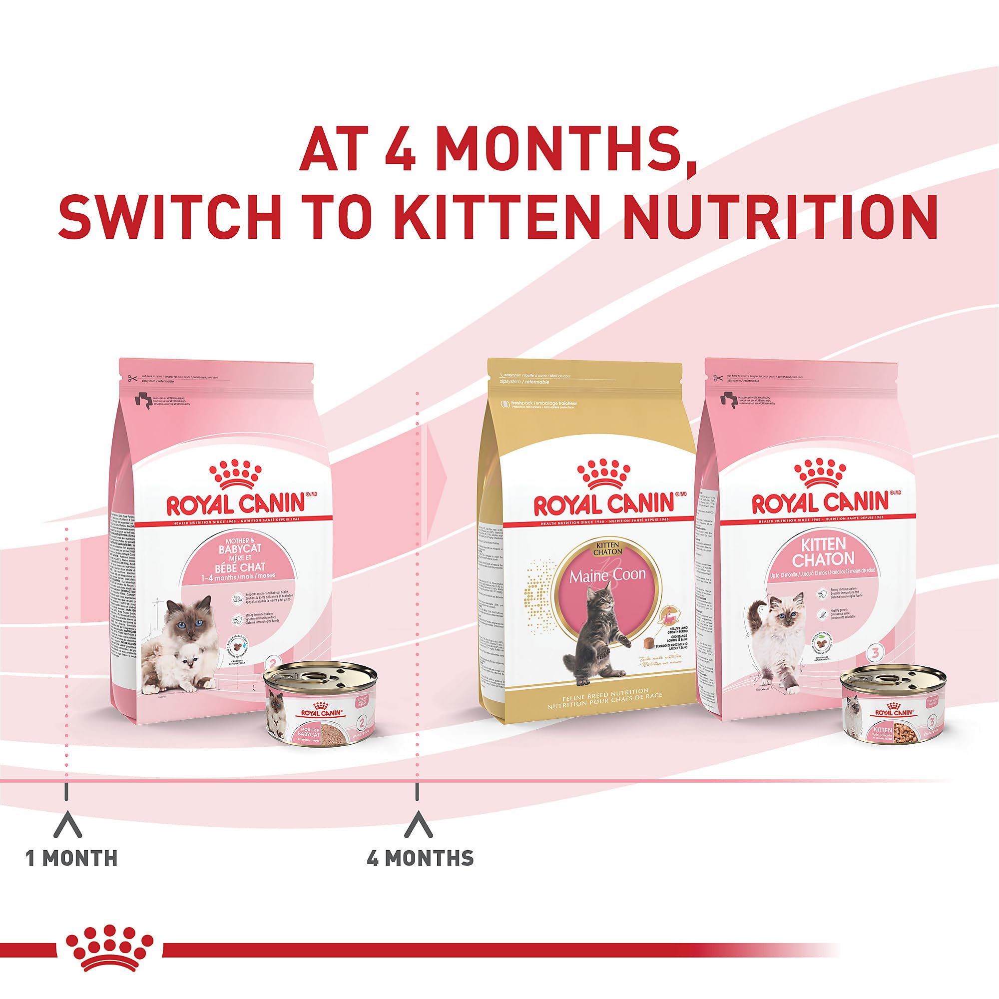Royal Canin logo with antioxidants note for immune support in kittens