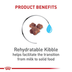 Royal Canin Mother & Babycat immune support antioxidants aid kitten immune system development
