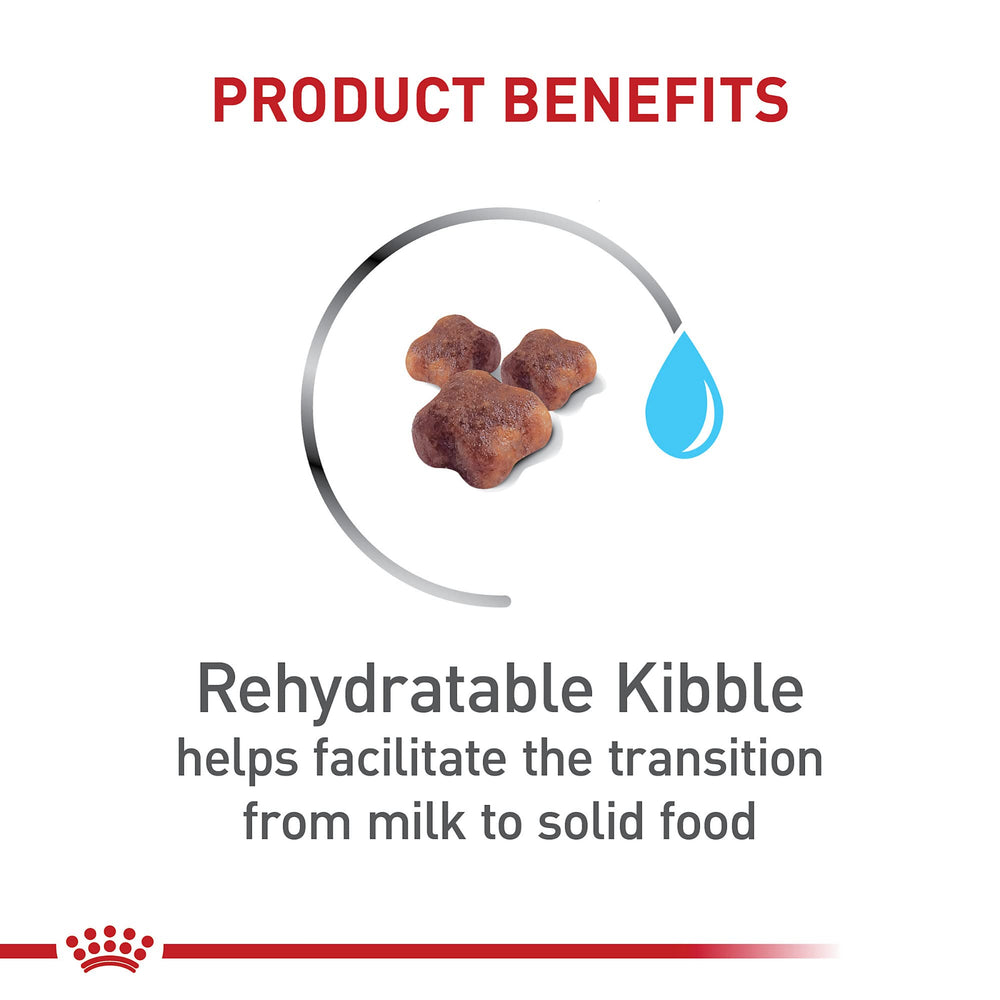 Royal Canin Mother & Babycat antioxidant blend with vitamins E and C.
