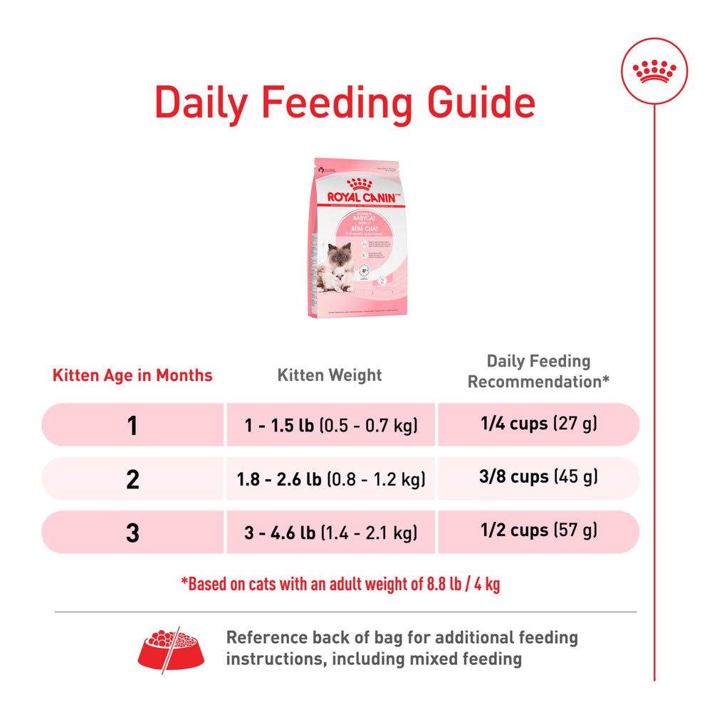 Royal Canin kitten growth nutrition supports healthy development and long-term vitality