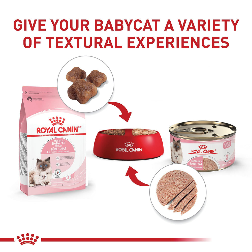 Infographic-style image on prebiotics and digestible proteins in Royal Canin formula