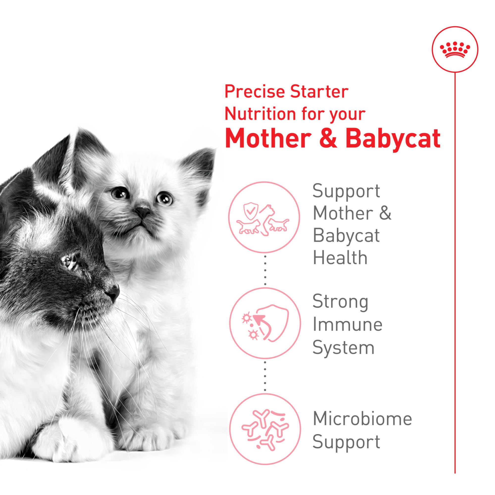 Royal Canin Mother & Babycat prebiotics and digestible proteins support digestion.