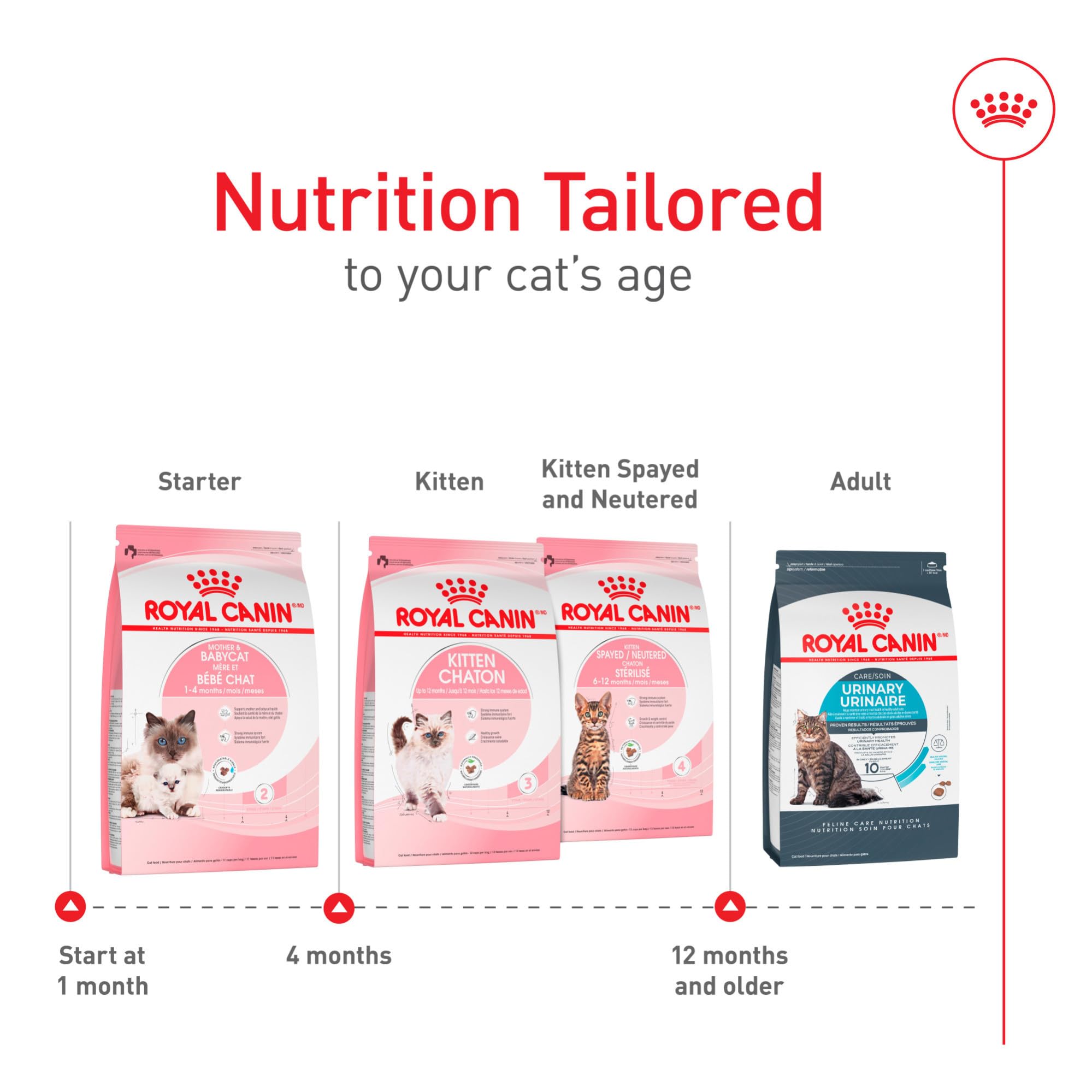 Royal Canin supports a healthy foundation for kittens from 1 to 4 months during weaning