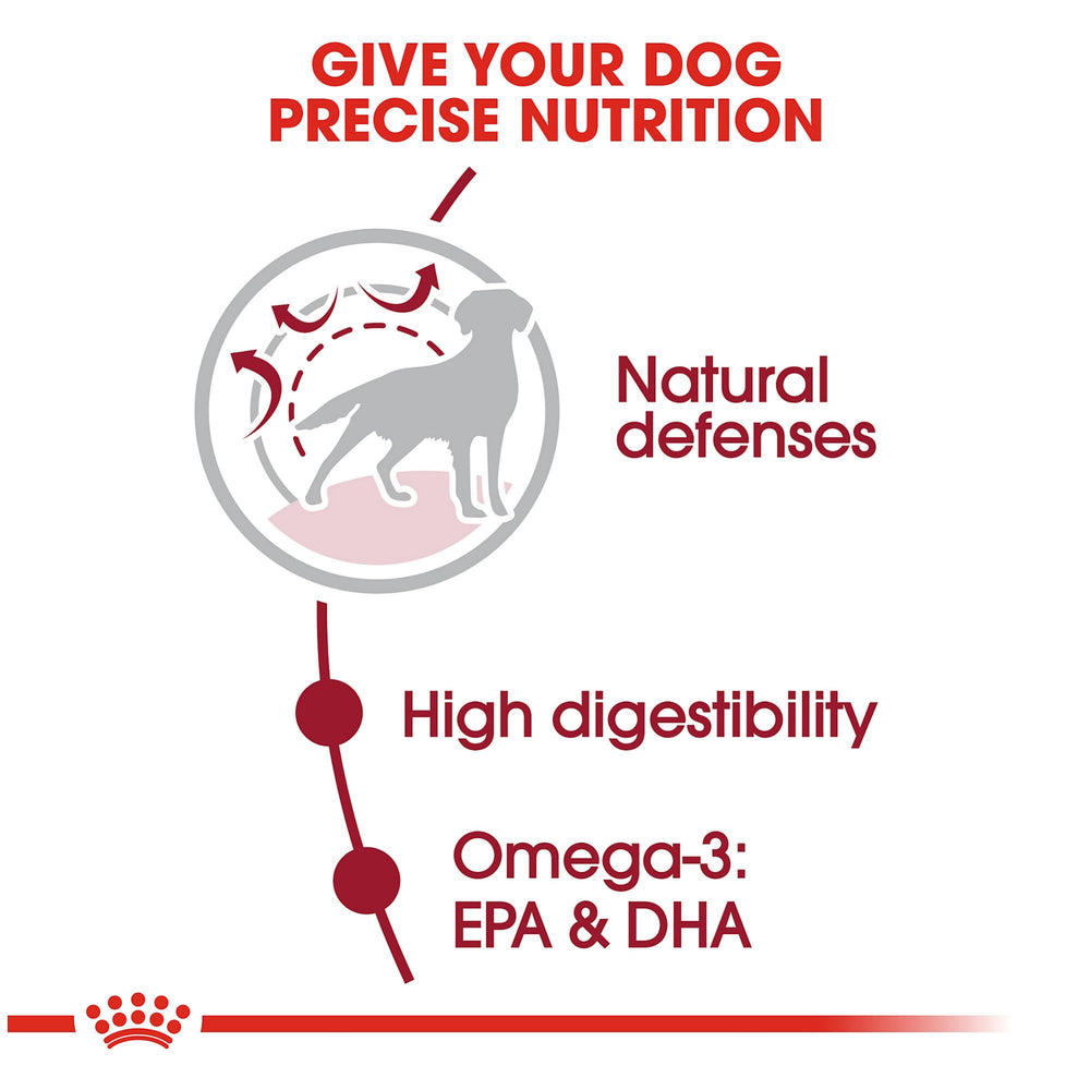Royal Canin omega-3 EPA/DHA promoting healthy skin and coat in medium dogs