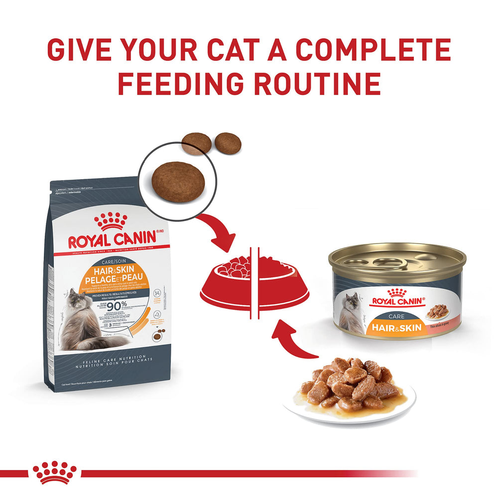 Omega-3 and Omega-6 support coat shine in Royal Canin formula