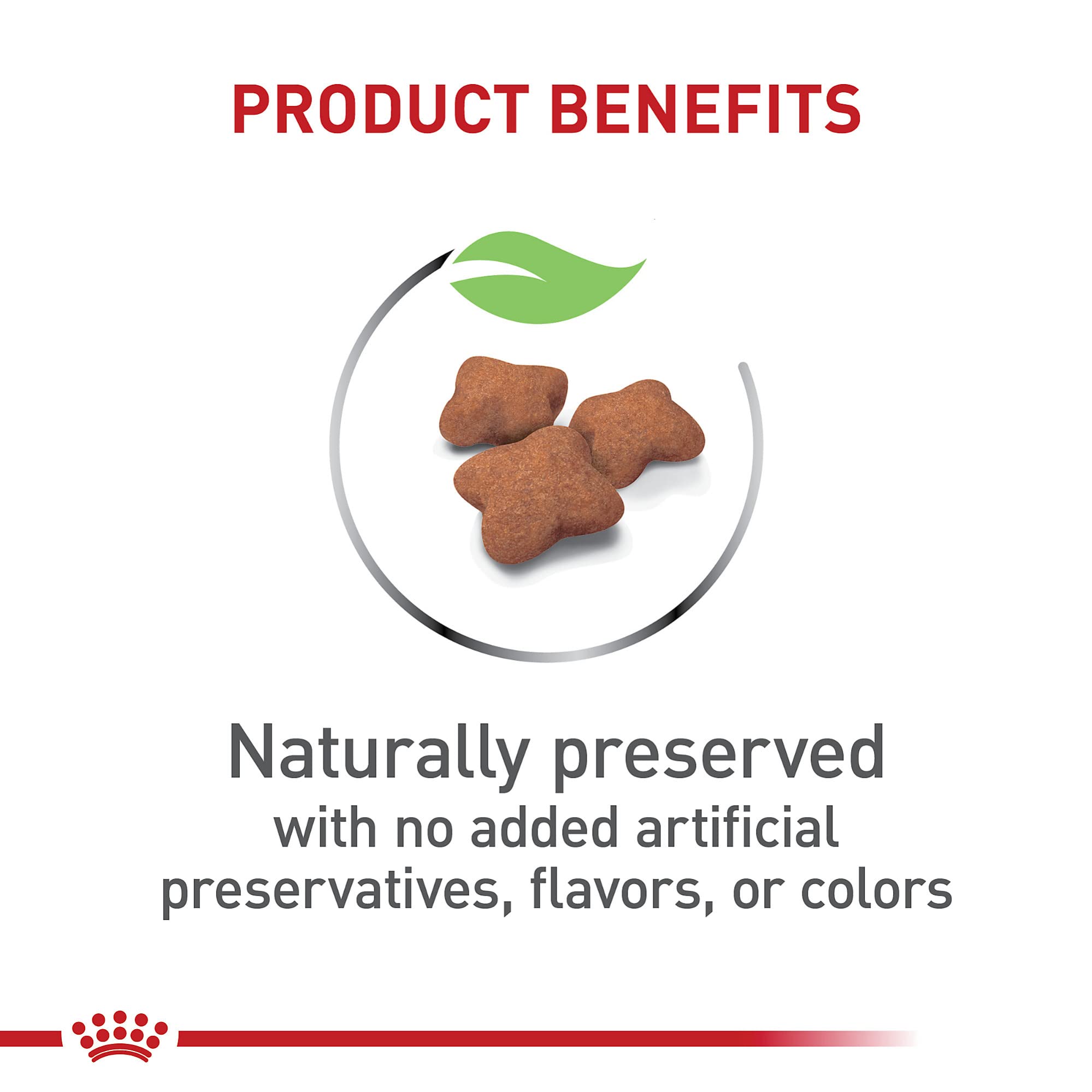 Royal Canin packaging front shows post-surgery kitten nutrition.