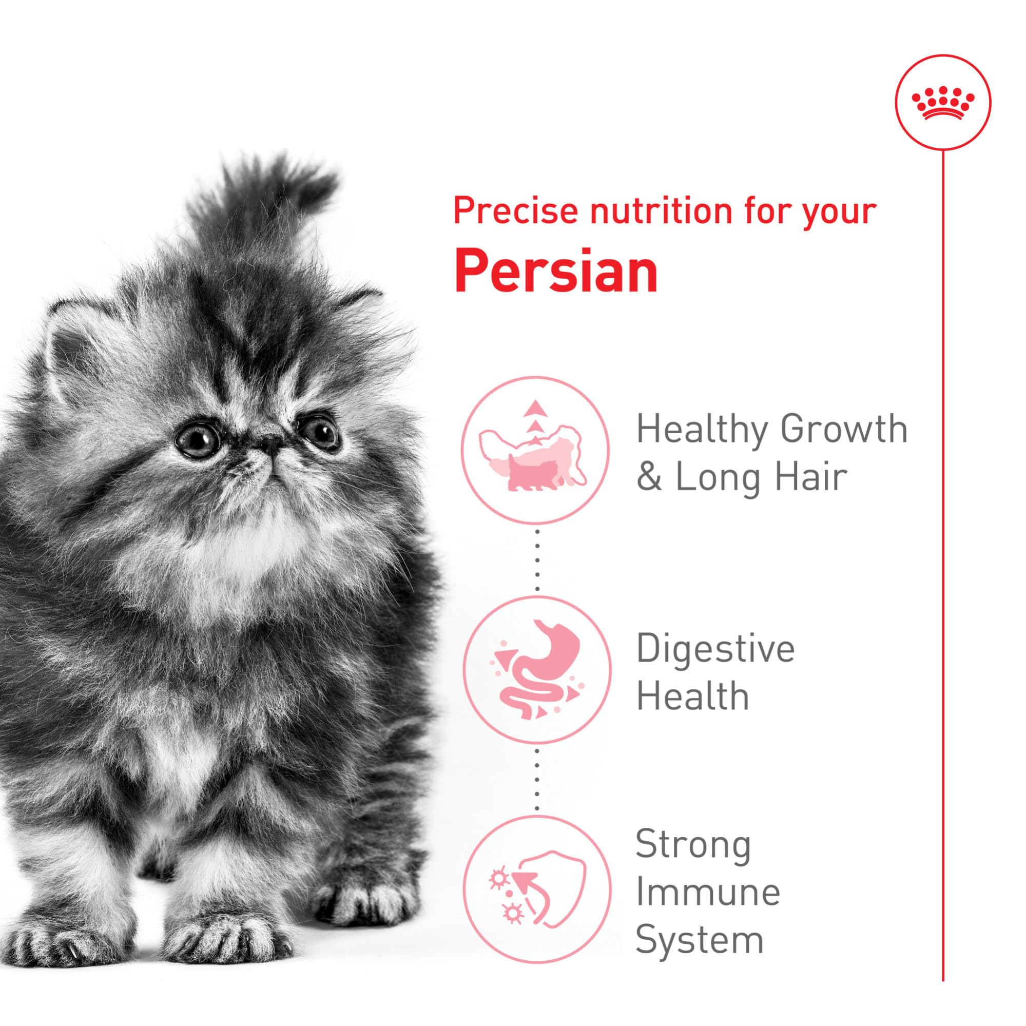 Royal Canin Persian Kitten 3 lb bag packaging, convenient for ongoing meals.