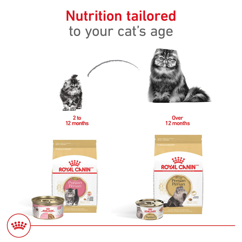 Royal Canin Persian Kitten kibble shape close-up designed for small mouths.