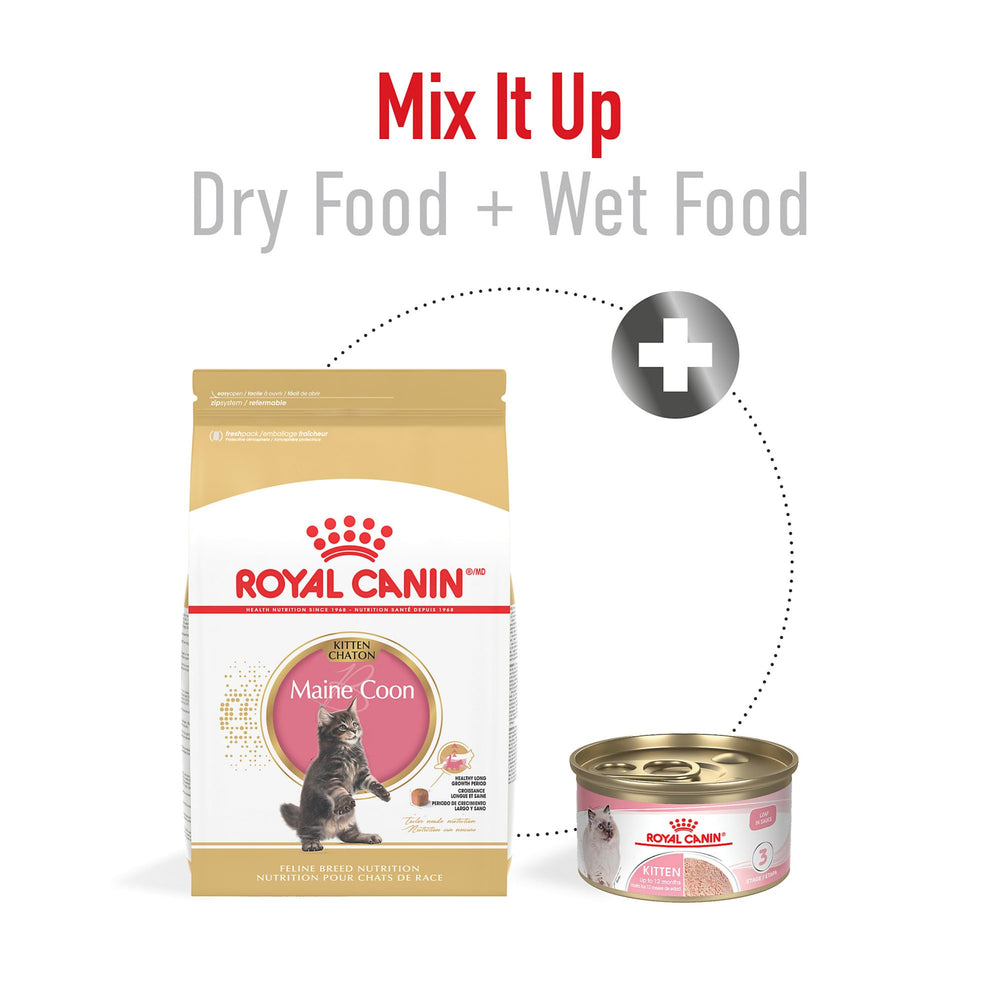 Royal Canin Persian Kitten formula close-up highlighting antioxidants for growth support.