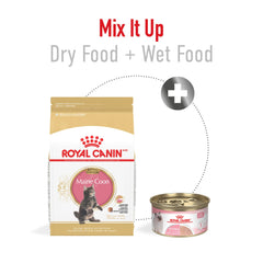 Royal Canin Persian Kitten formula close-up highlighting antioxidants for growth support.