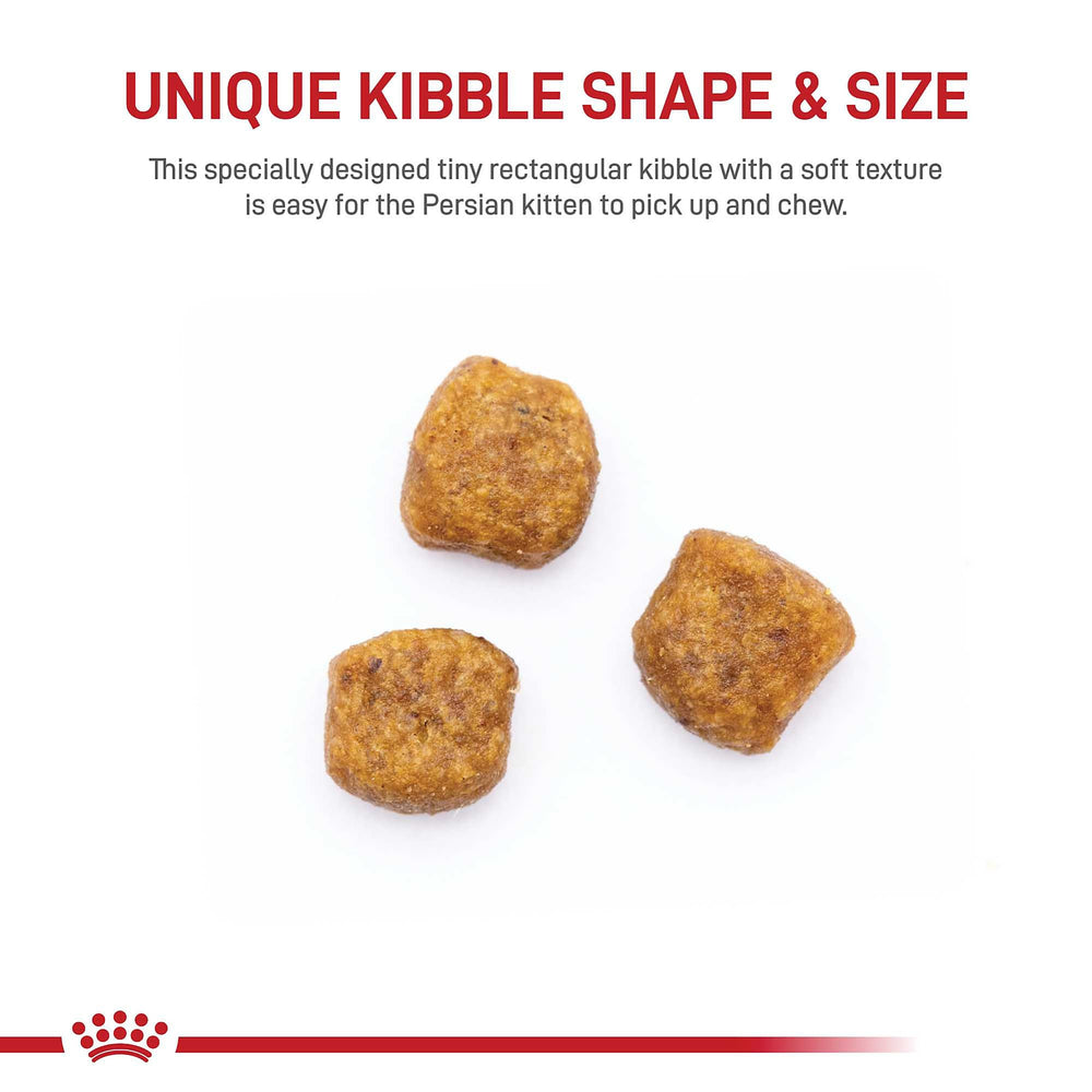 Royal Canin Persian Kitten kibble in a bowl supporting coat and skin health.