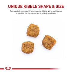 Royal Canin Persian Kitten kibble in a bowl supporting coat and skin health.