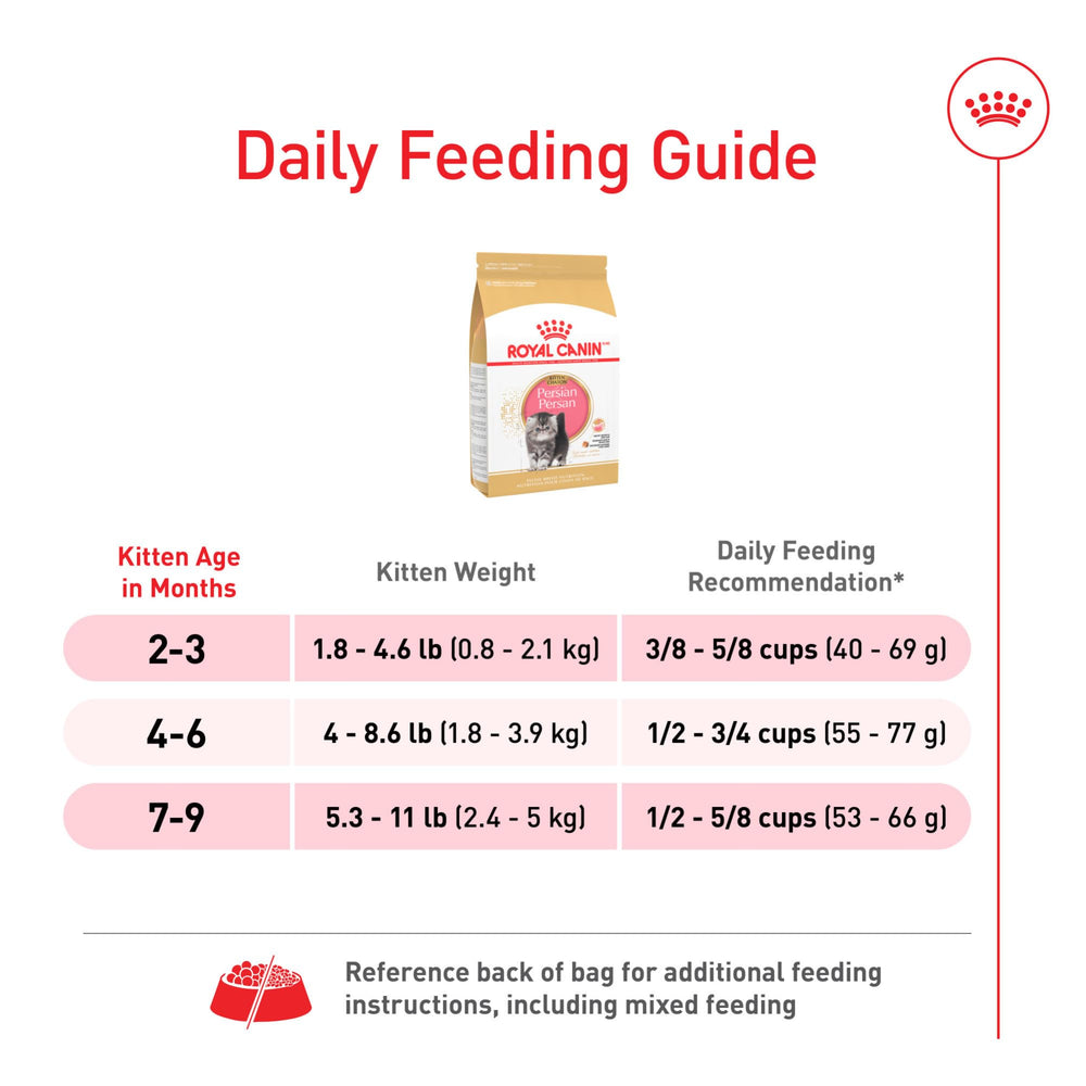 Royal Canin Persian Kitten texture close-up supporting digestion and energy.