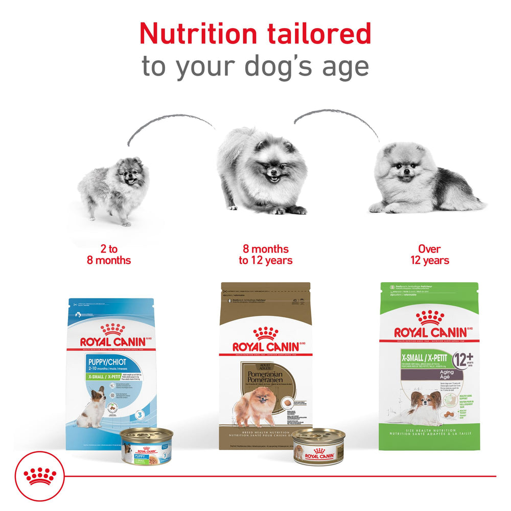 Small-breed kibble close-up emphasizes bite-size efficiency.