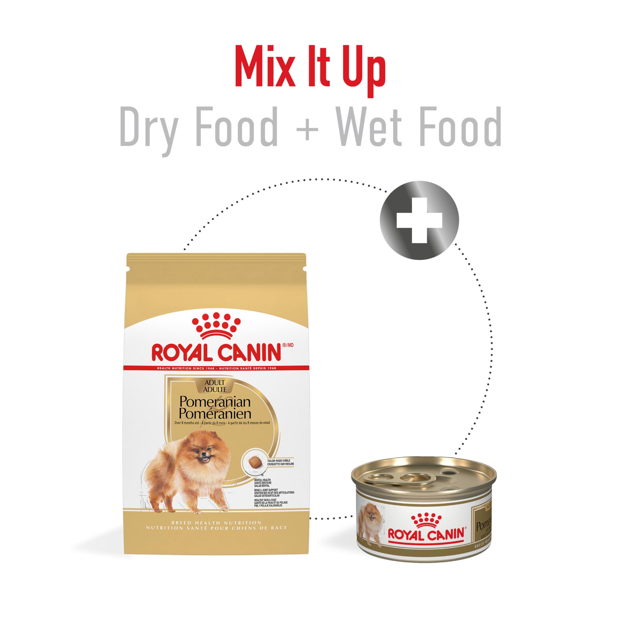 Serving bowl with measured portion shows balanced dog diet.
