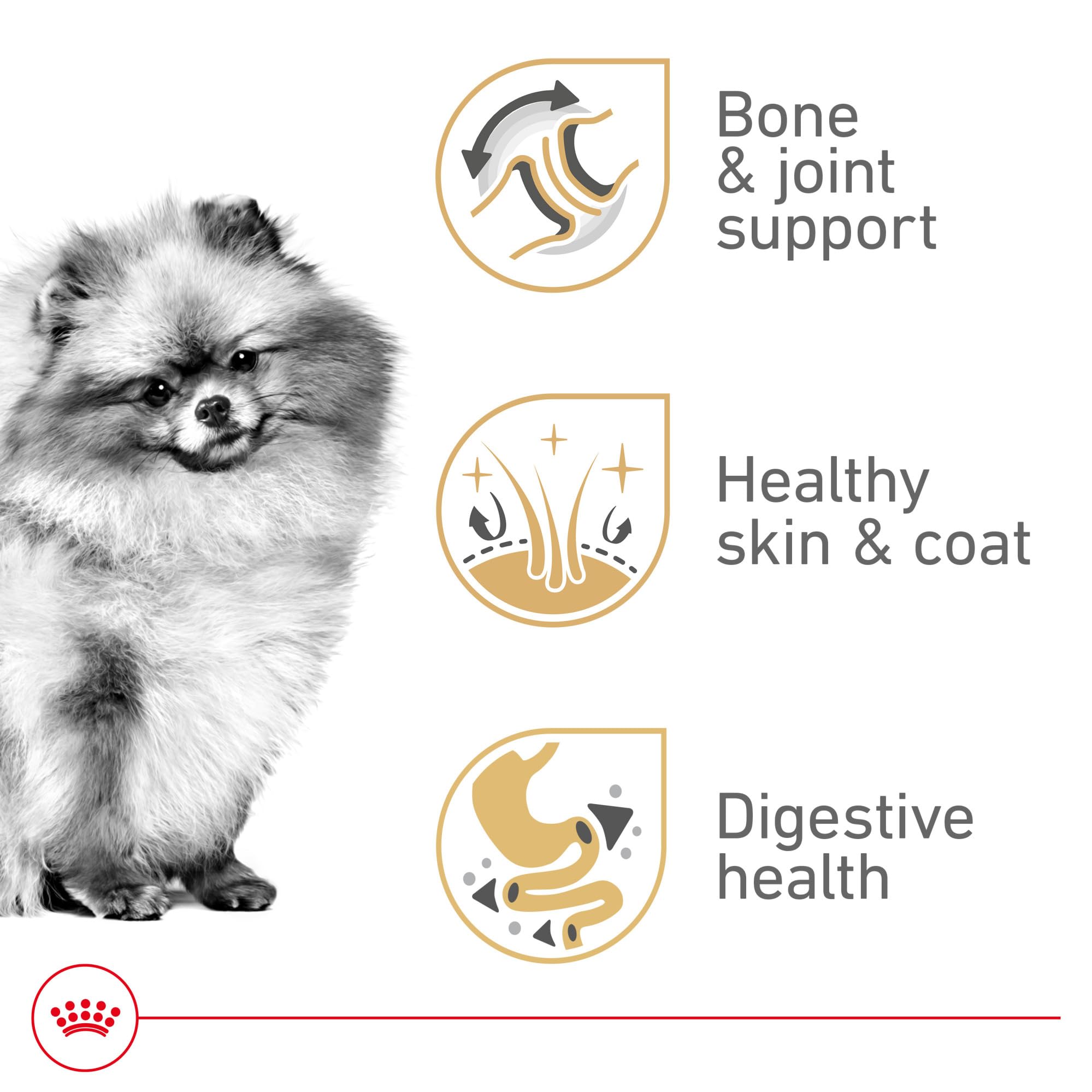 Royal Canin Pomeranian Adult Loaf in Sauce close-up shows moist, easy-to-chew texture.