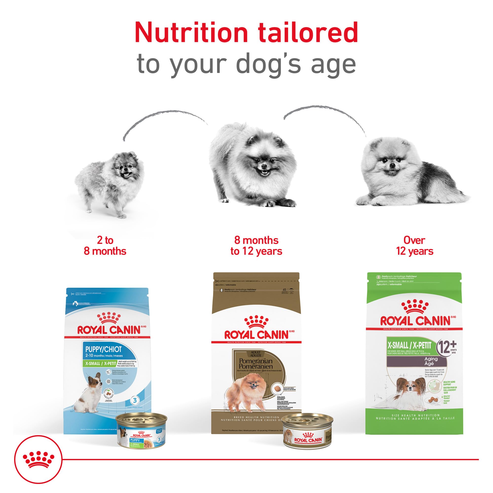 Royal Canin Pomeranian digestive health formula promotes easy digestion and more consistent stools.
