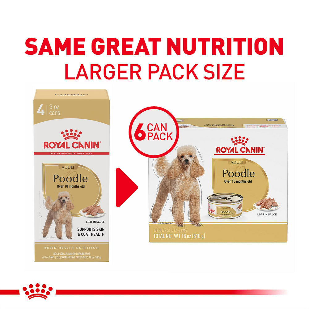 Serving bowl of Royal Canin Poodle Adult wet food highlighting complete nutrition