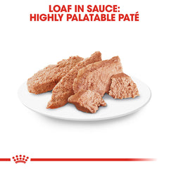 Close-up of loaf texture in Royal Canin Poodle Adult wet food for appetite appeal