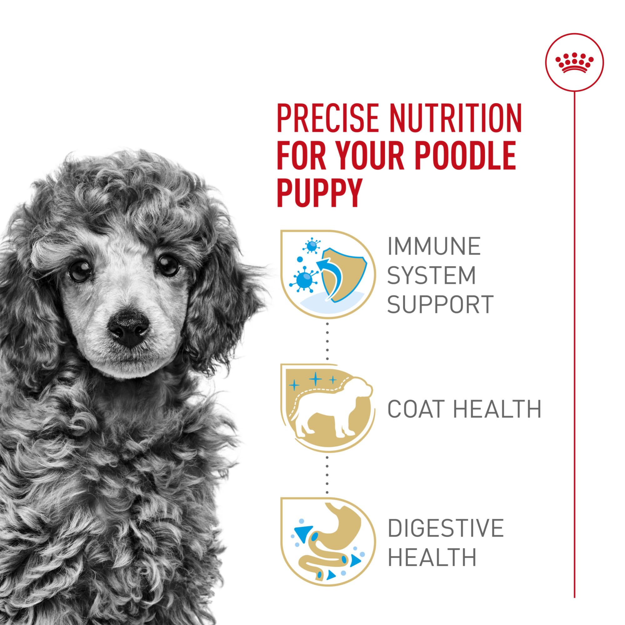 Royal Canin Poodle Puppy with antioxidants and vitamin E for immune support