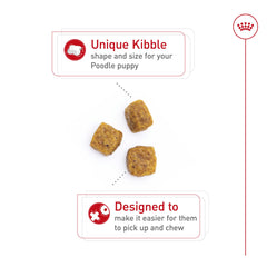 Royal Canin Poodle Puppy kibble design aiding easy pickup for small jaws