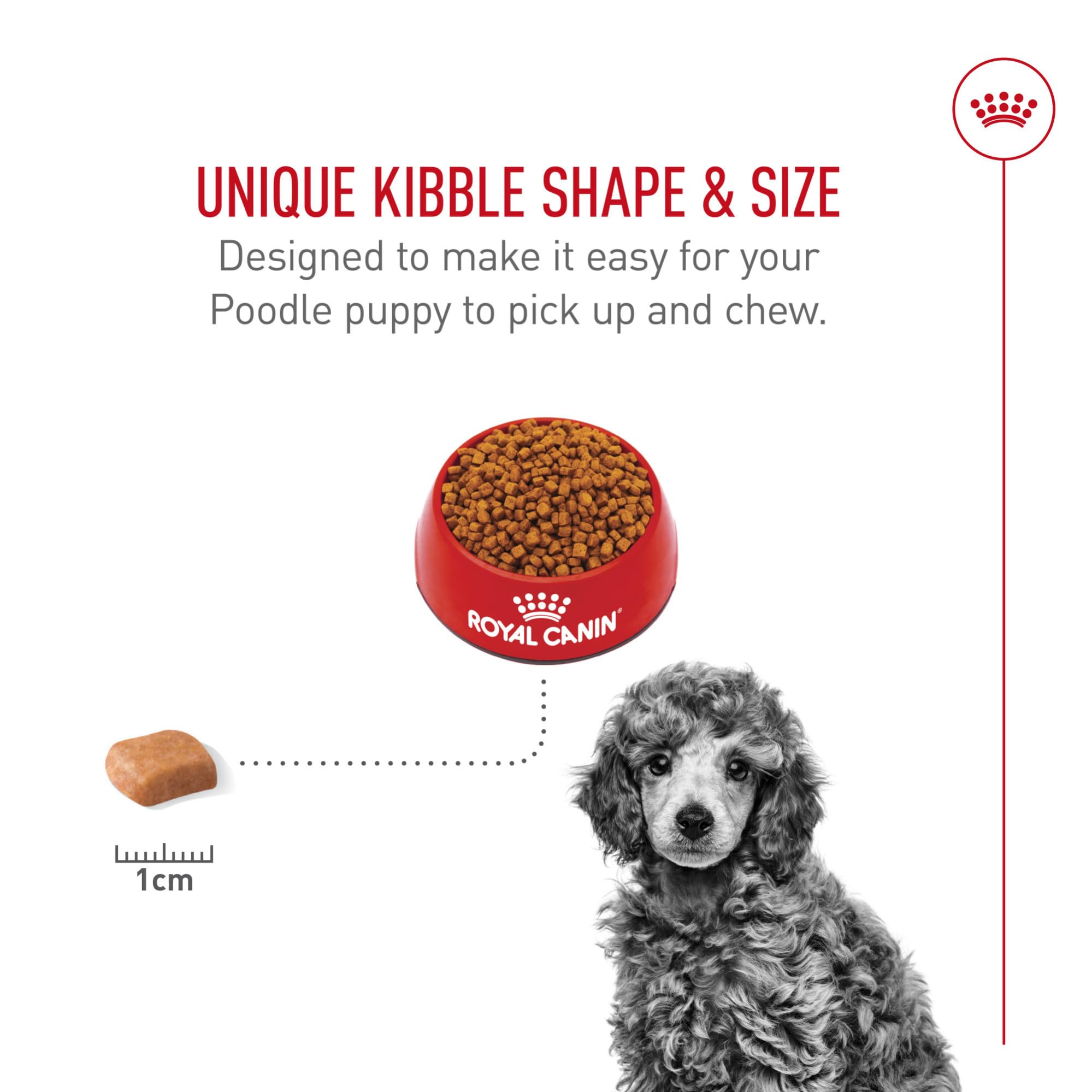 Royal Canin Poodle Puppy skin and coat care with EPA and DHA
