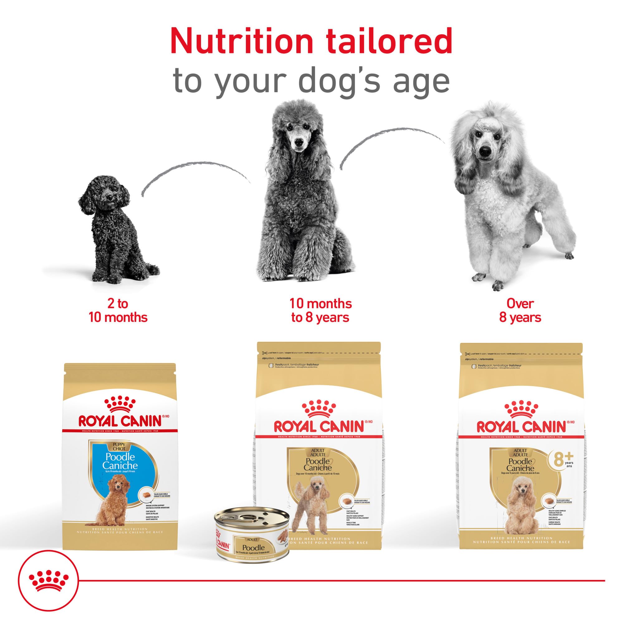 Royal Canin Poodle Puppy kibble tailored for straight muzzles