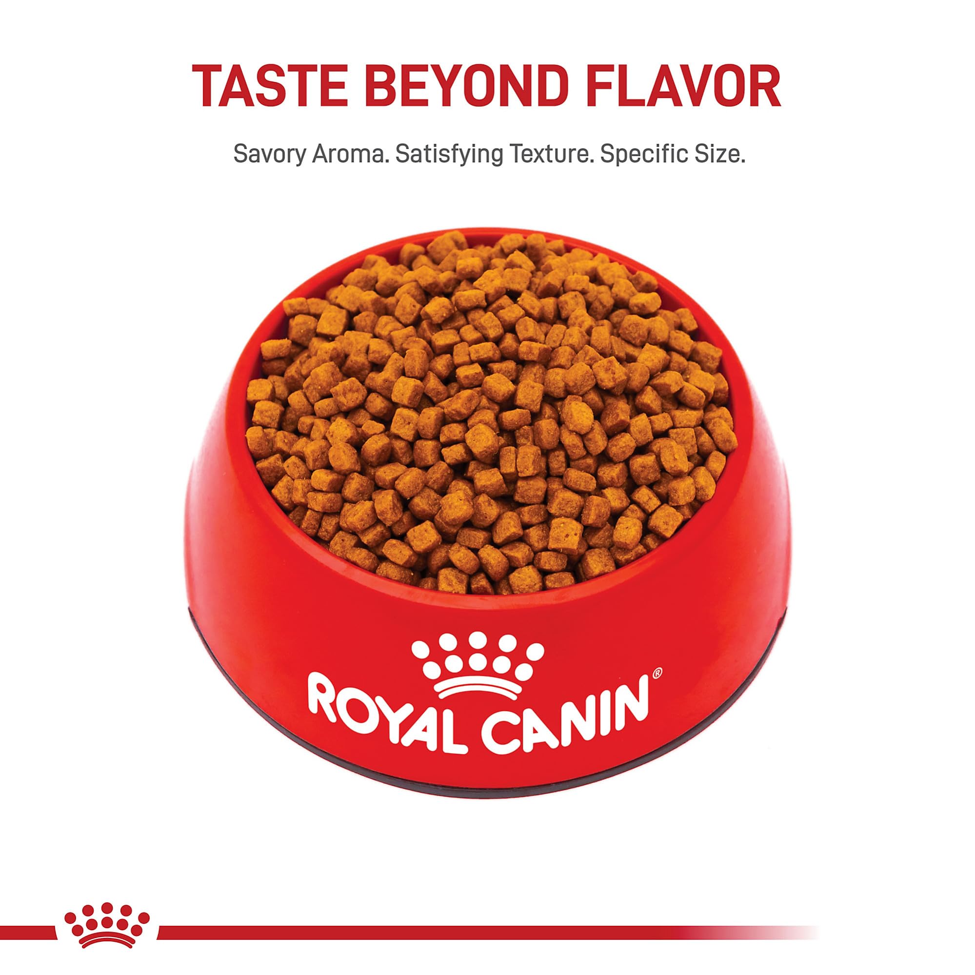 Royal Canin Poodle Puppy transition guidance to adult nutrition at 10 months