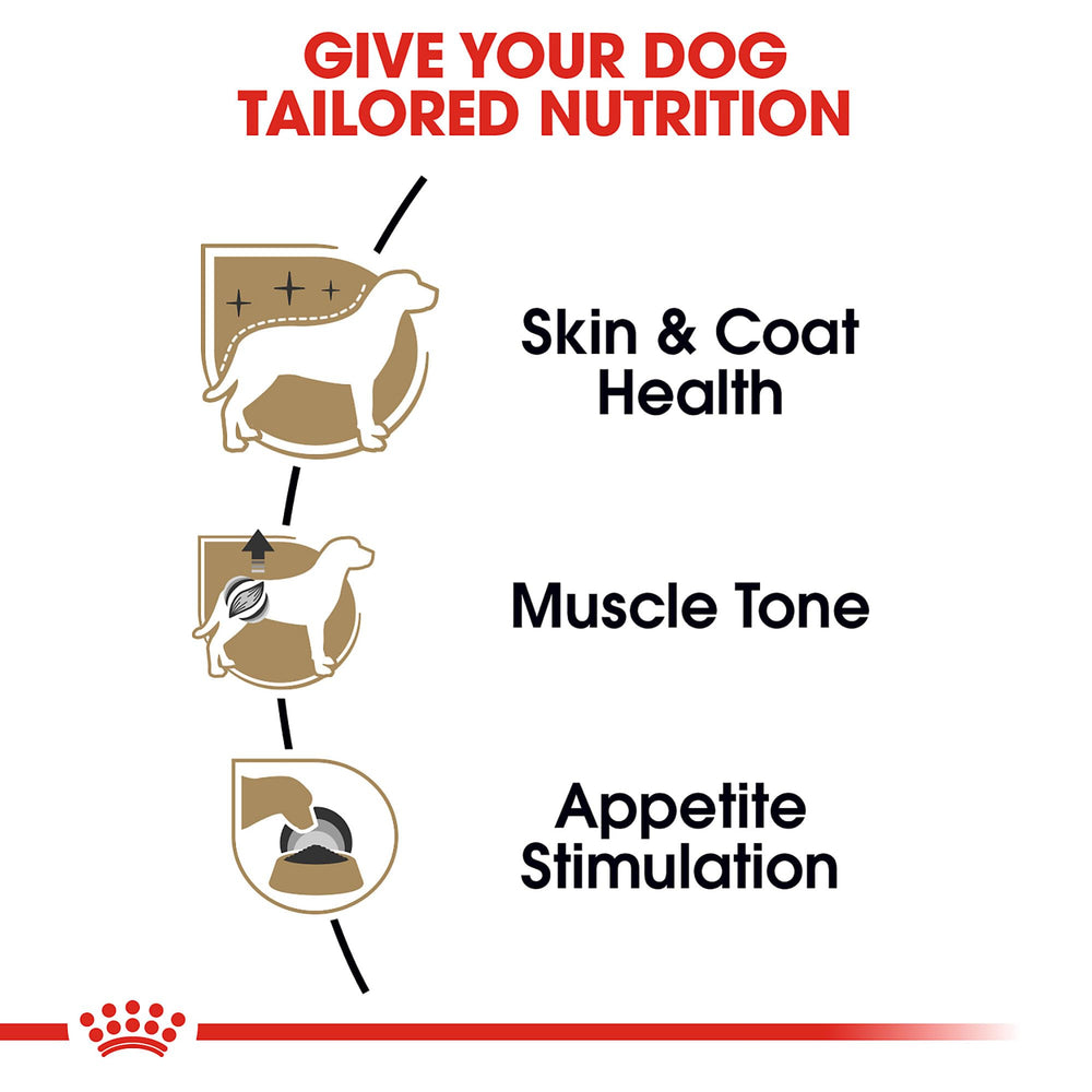 Poodle coat care with Royal Canin omega-3 skin and coat support