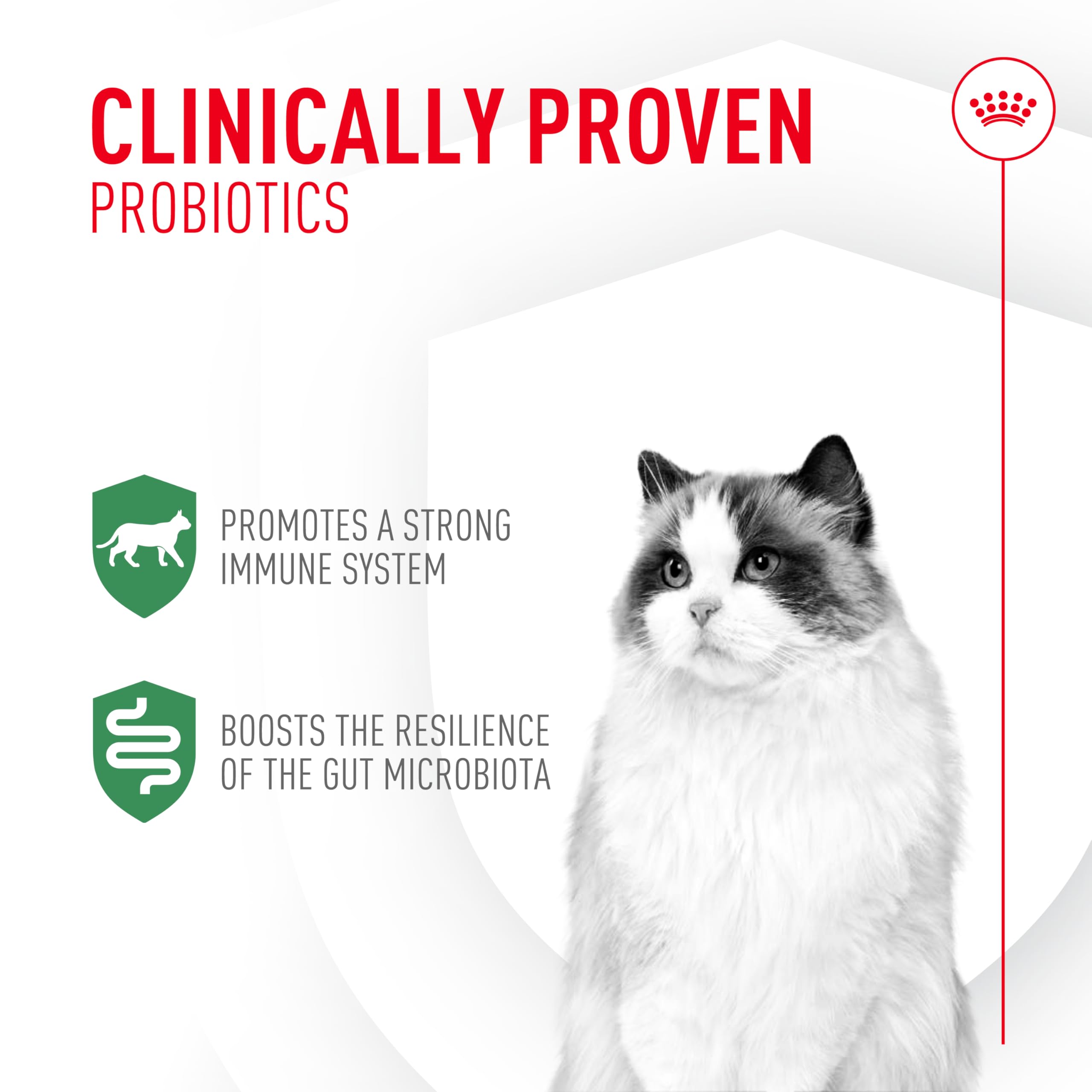 Royal Canin probiotics for cats immune support powder aids overall resilience
