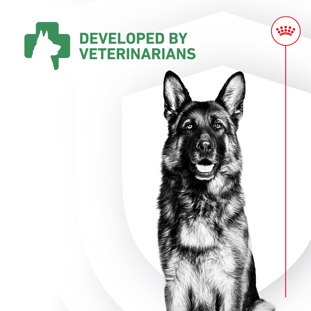 Royal Canin Probiotics dog meal scene ready for daily use