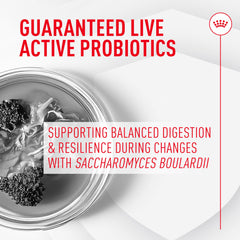 One daily probiotic packet shown being sprinkled on cat food