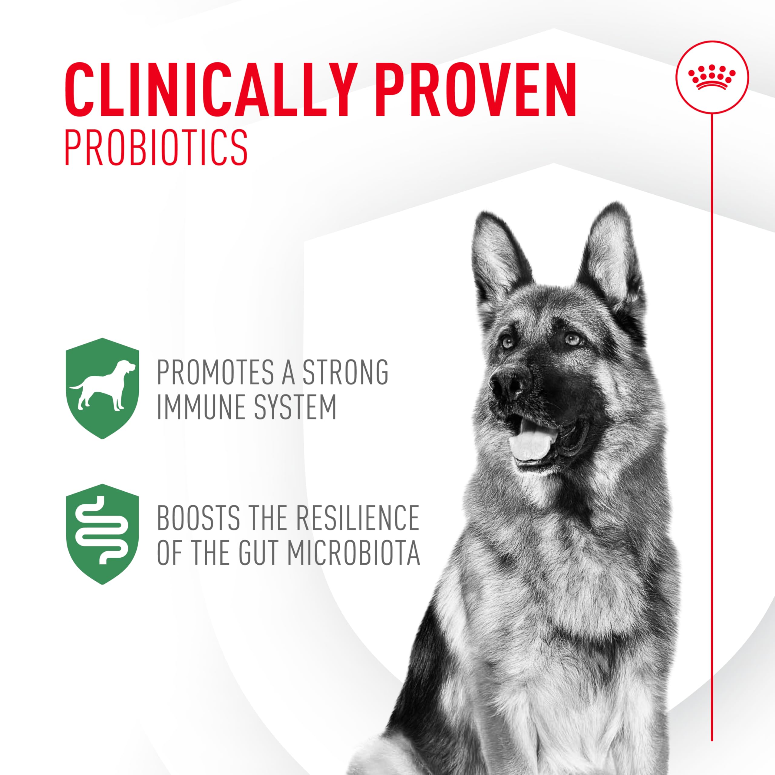 Royal Canin Probiotics packet opened with powder ready to sprinkle on meals for digestion
