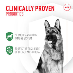 Royal Canin Probiotics packet opened with powder ready to sprinkle on meals for digestion