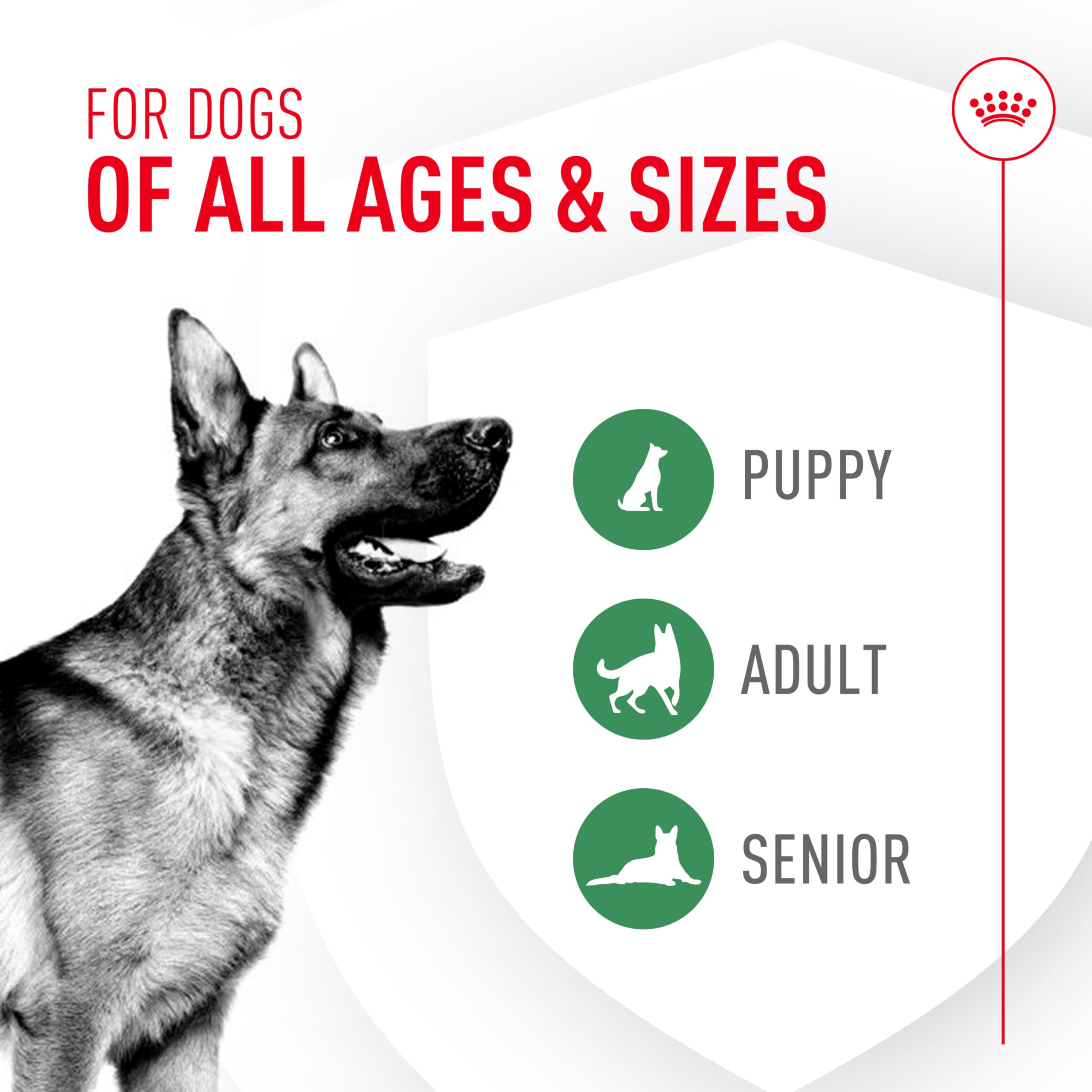 Royal Canin Probiotics veterinarian-developed label for canine health